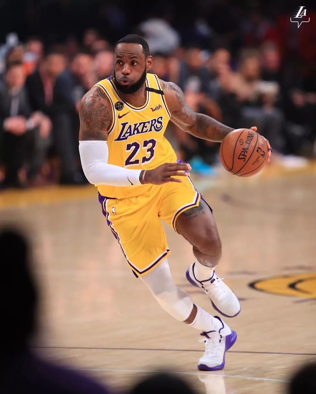 现役最强大前，没有之一