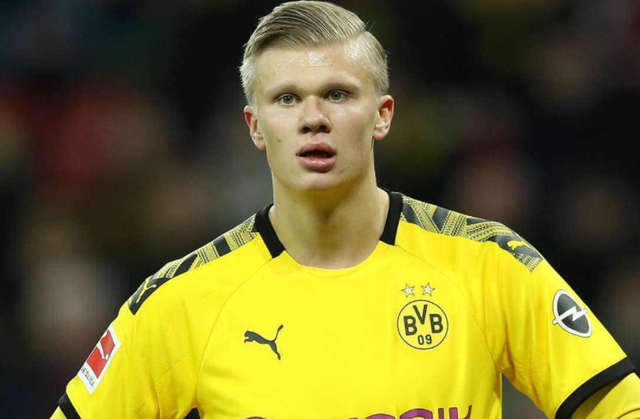 解析明尼苏达双城队如何利用球场构造减少北境寒流的干扰